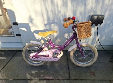 Raleigh Molli 14"