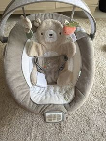 Baby Bouncer