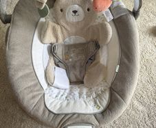 Baby Bouncer