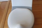 Toilet potty