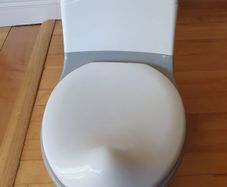 Toilet potty