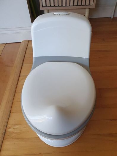 Toilet potty