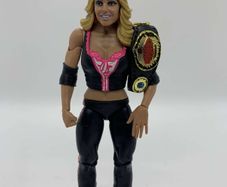 wwe elite series 24 Trish Stratus action figure