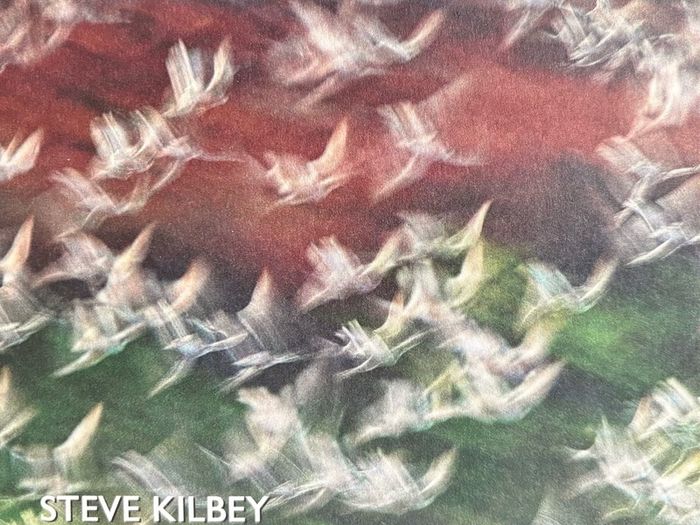 Steve Kilbey (The Church) - Whispers in The Static. Solo album by the acclaimed frontman of legendary Australian band The Church. Like new - played once.
