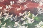 Steve Kilbey (The Church) - Whispers in The Static. Solo album by the acclaimed frontman of legendary Australian band The Church. Like new - played once.
