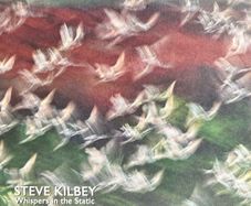 Steve Kilbey (The Church) - Whispers in The Static. Solo album by the acclaimed frontman of legendary Australian band The Church. Like new - played once.