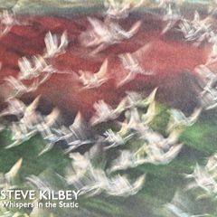 Steve Kilbey (The Church) - Whispers in The Static. Solo album by the acclaimed frontman of legendary Australian band The Church. Like new - played once.