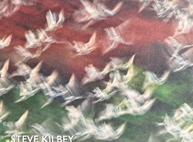 Steve Kilbey (The Church) - Whispers in The Static. Solo album by the acclaimed frontman of legendary Australian band The Church. Like new - played once.