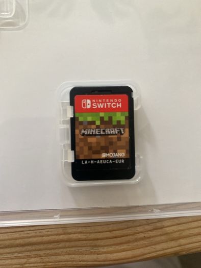 Switch Minecraft