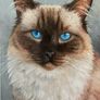 Custom Cat Portrait Image 2
