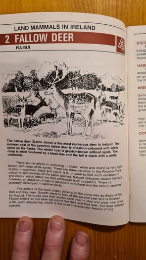 Land Mammals In Ireland. Issued By Forest And Wildlife Service. Leesonane Dublin. Booklet.1986.