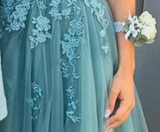 debs dress
