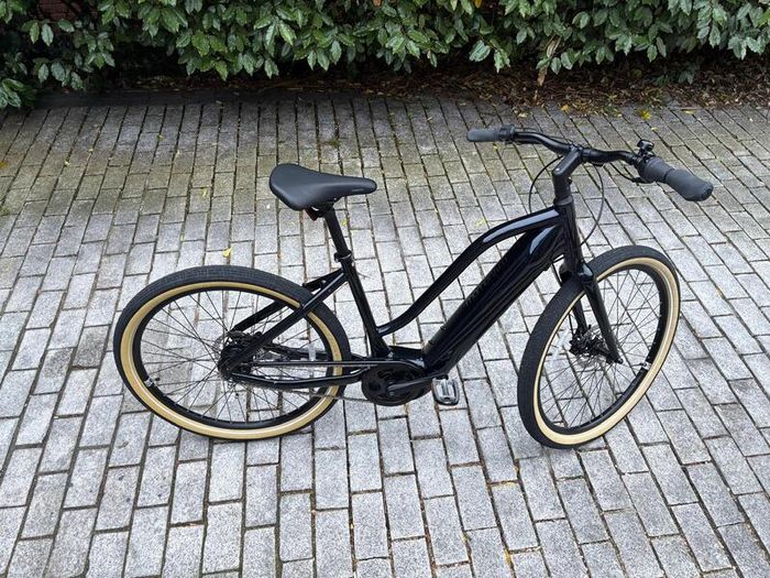 Brand New GIANT Momentum Electric Bike
