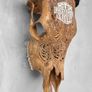 Hand-Carved Harley-Davidson Cow Skull (58cm,3kg) - Bone Image 5