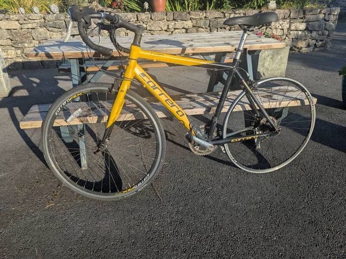 Carrera and Viking Racing bikes for repair