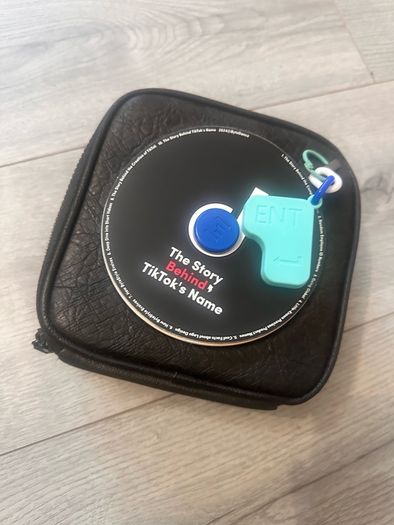 TikTok leather purse
