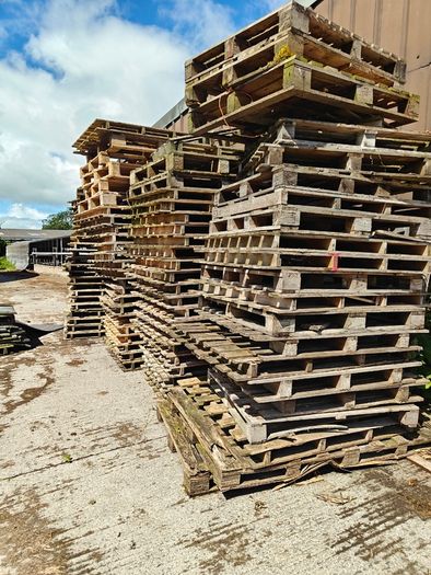 Pallets Free to take