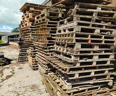 Pallets Free to Take