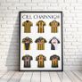 Irish Gaelic Football and Hurling GAA County Poster, A History of each County Image 7