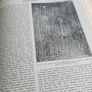 Enciclopedia Italiana Treccani (1st Ed. 1929) Image 6