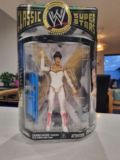 WWE Classic Superstars 14 Sensational Sherri Jakks action figure wrestling