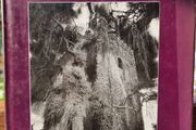 Phantoms of the Isles: further tales from the Haunted Realm - Simon Marsden
