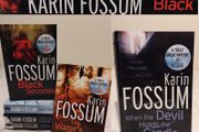 Karin Fossum Thriller Crime Novels Book Collection