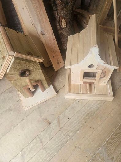 birdie feeders