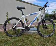 Specialized mountain bike