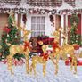 3 Piece 2D Lighted Christmas Deer Family Set Image 7