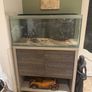 Large glass tank with matching storage cabinet stand Image 2