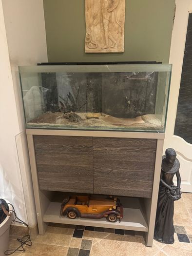 Large glass tank with matching storage cabinet stand