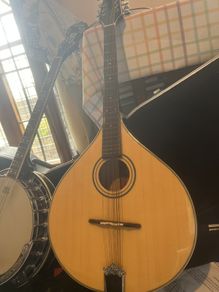 Mandolin. Left handed. McBrides