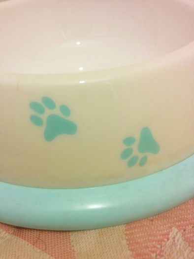 Small dog bowls