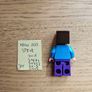 lego min009 steve, set 30672, 21116, 30393, 21113, 21249 Image 2