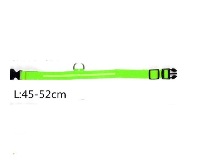 Glowing dog collar NEW