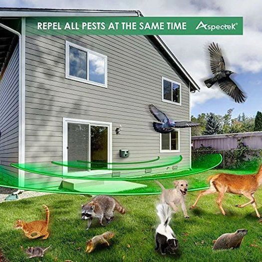 Outdoor Pest/Animal Repeller