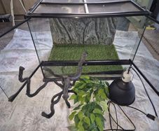 ExoTerra Terrarium 60x45x45cm