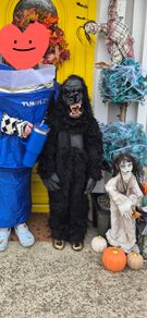 Kids Gorilla costume