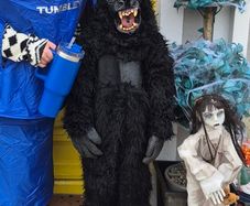 Kids Gorilla costume
