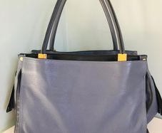 Blue Chloe Bag Purse
