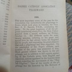 The pilgrim's guide to Rome, tr. and adapted by C.J. Munic