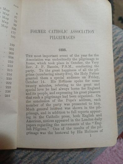 The pilgrim's guide to Rome, tr. and adapted by C.J. Munic