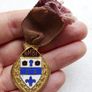 Vintage 1957 Royal Masonic R.M.B.I. Steward Enameled Medal / Badge Image 4