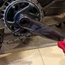 YT Capra Image 3