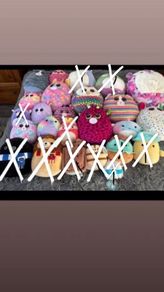 FREE teddys