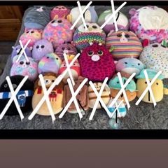 FREE teddys