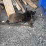 new holland hitch Image 3