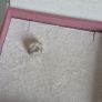 Pandora  Paris travel suitcase charm very good condition hallmarked Image 3