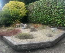 Plants rocks and decorative stones